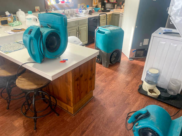 Best Emergency water damage restoration  in Jesup, GA