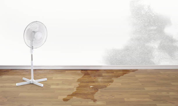 Best Fire Damage Restoration  in Jesup, GA