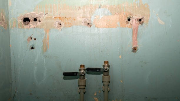 Best Flooded house restoration  in Jesup, GA