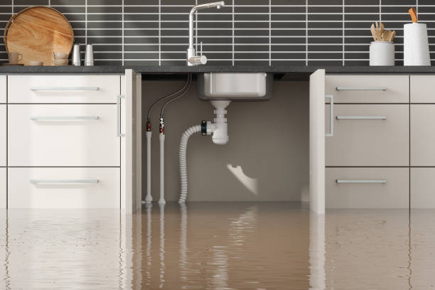 Best Mold removal after water damage  in Jesup, GA