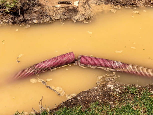 Best 24/7 water damage repair  in Jesup, GA