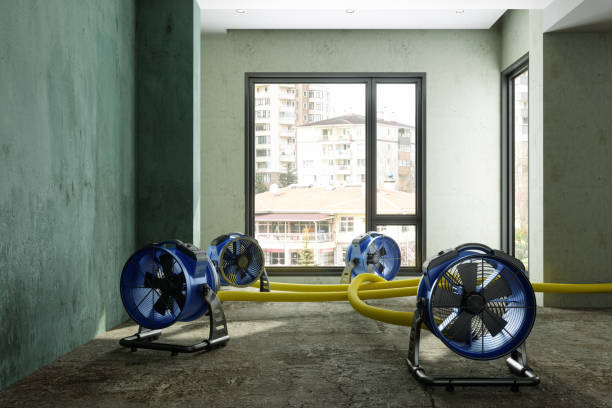 Best Emergency water damage restoration  in Jesup, GA